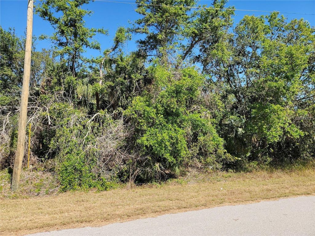 Photo of 34 Eastman Circle, North Port, FL 34288 (MLS # O6305860)