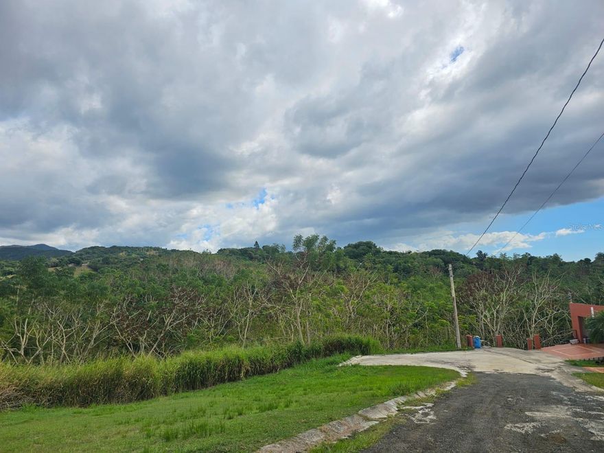 Unique Opportunity! Land for Sale in Sabana Grande

Large 2,772 square meter lot for sale in the prime location of Sabana Grande.