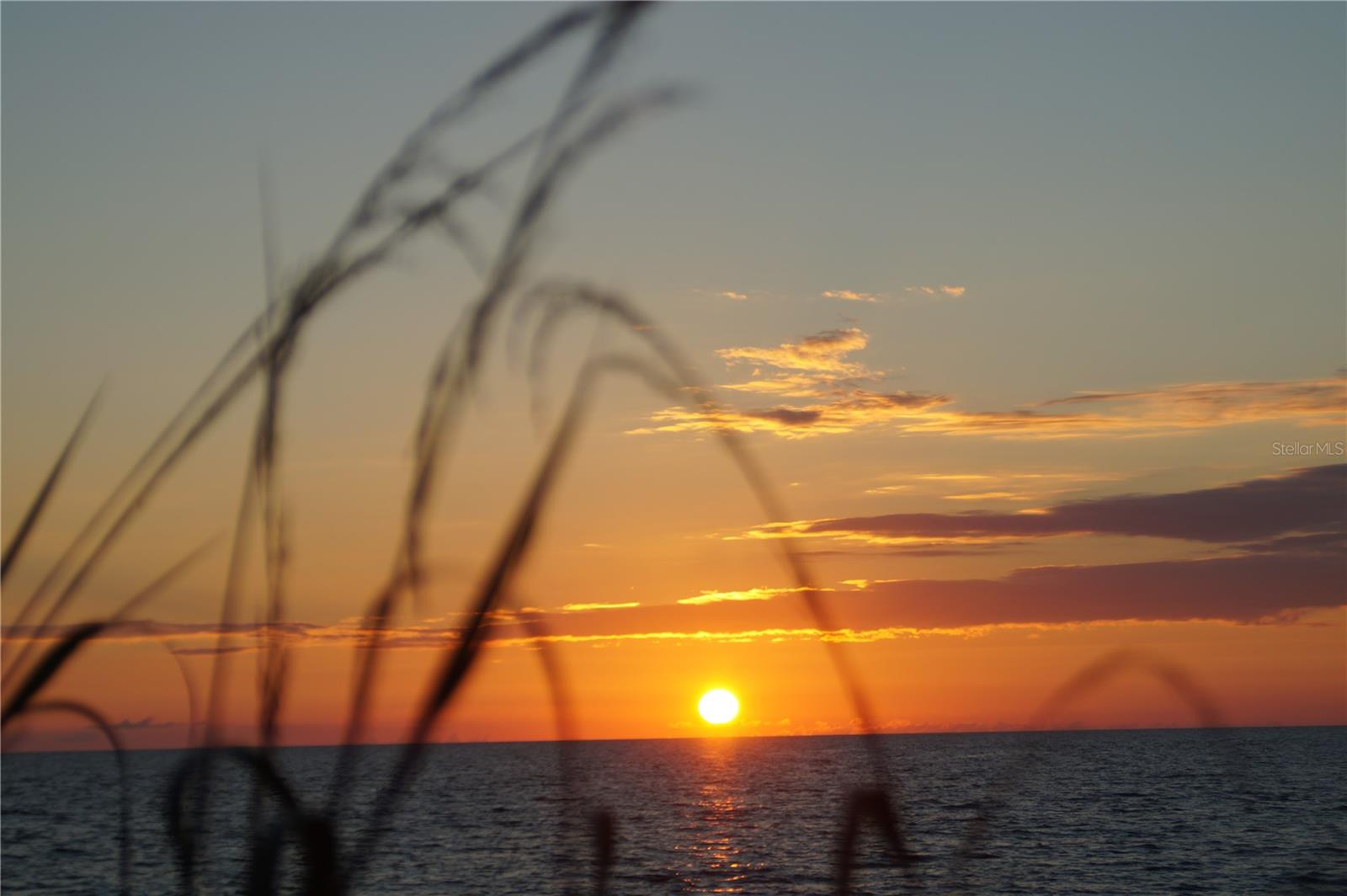 TAMARIND GULF & BAY BLDG C-1 - Residential