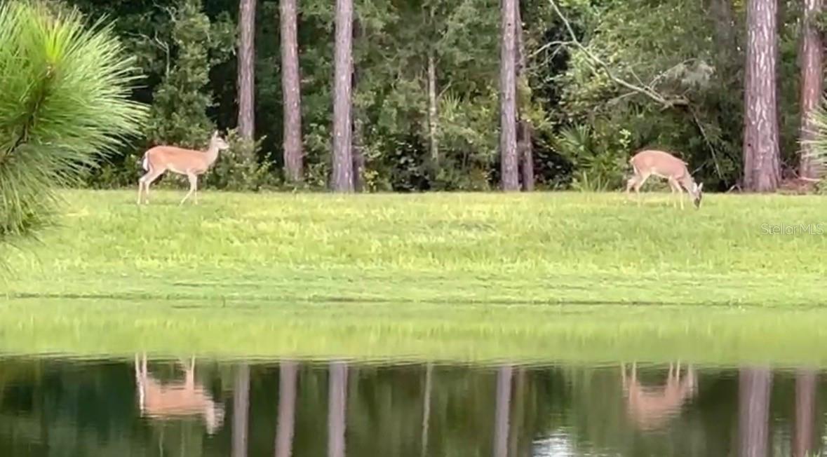 THE SANCTUARY - Residential