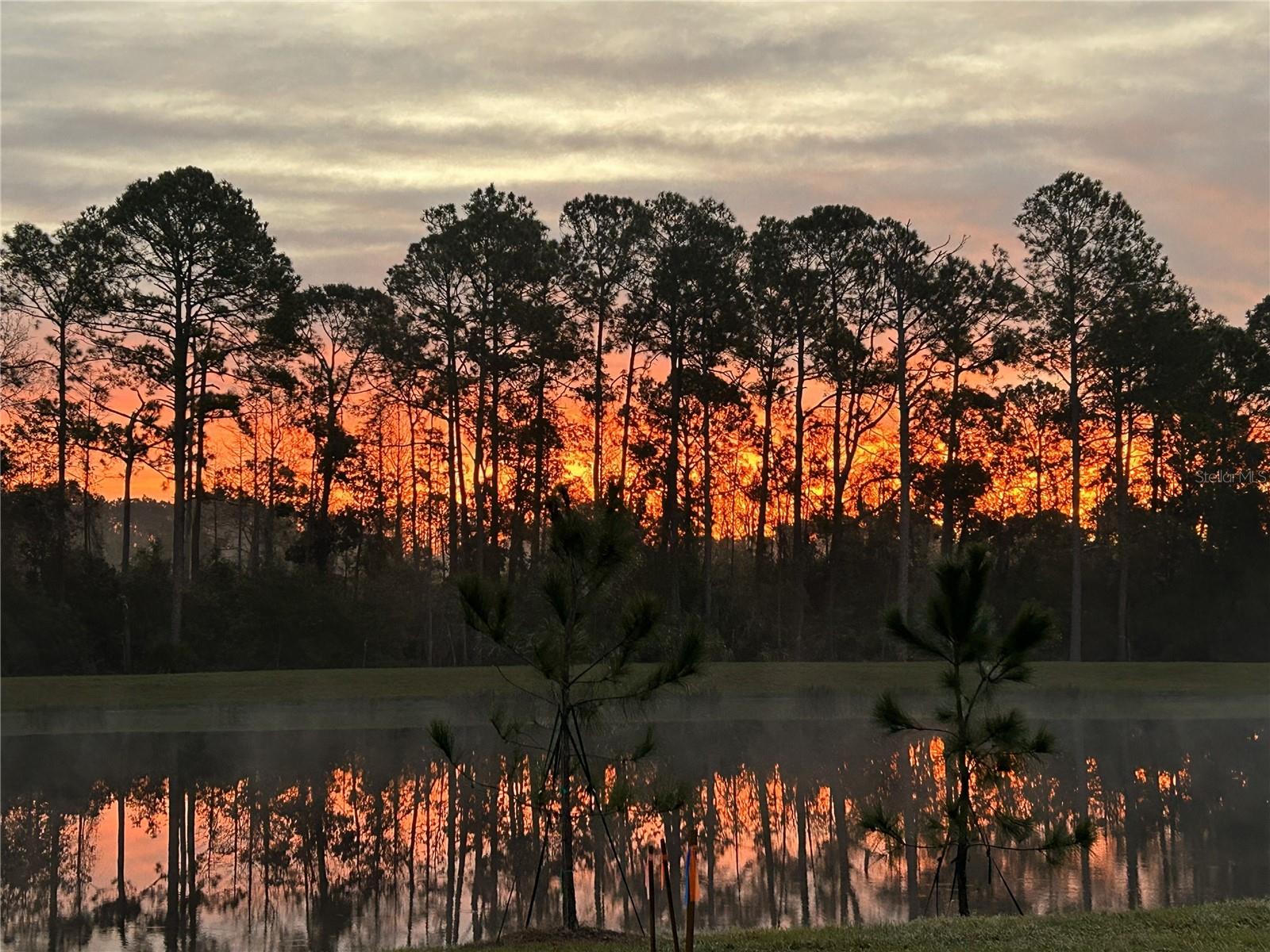 THE SANCTUARY - Residential