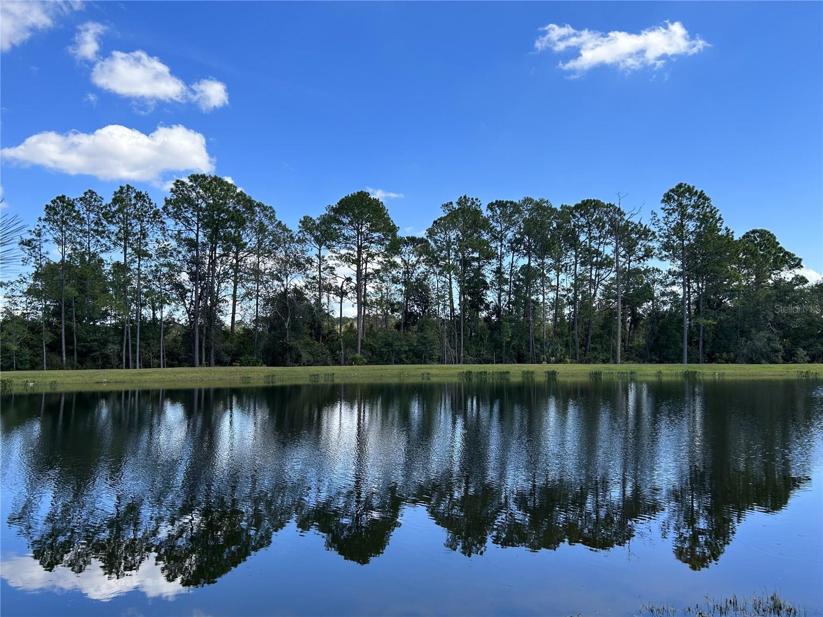 THE SANCTUARY - Residential