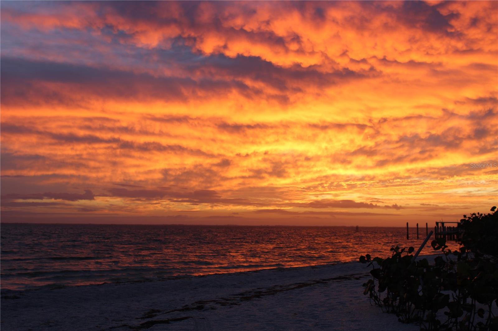 PALM ISLAND ESTATE - Land