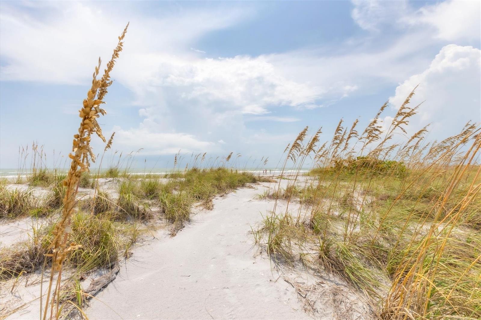 PALM ISLAND ESTATE - Land