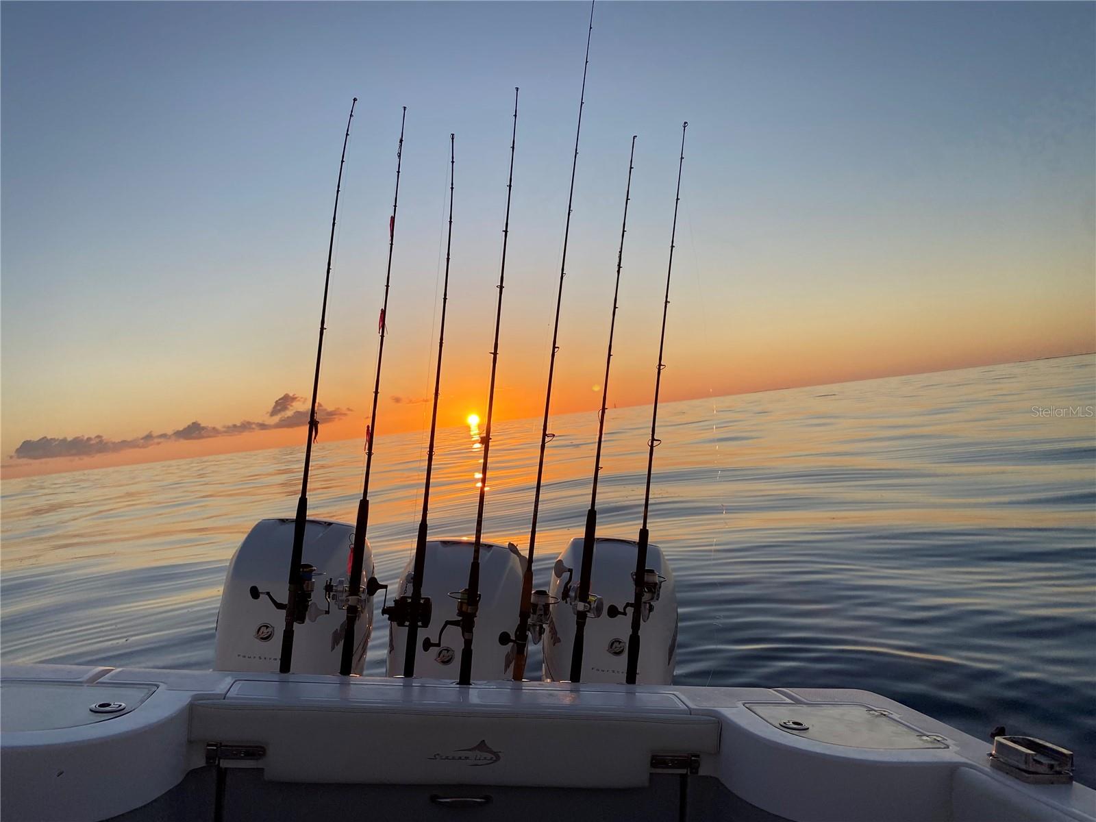 PALM ISLAND ESTATE - Land