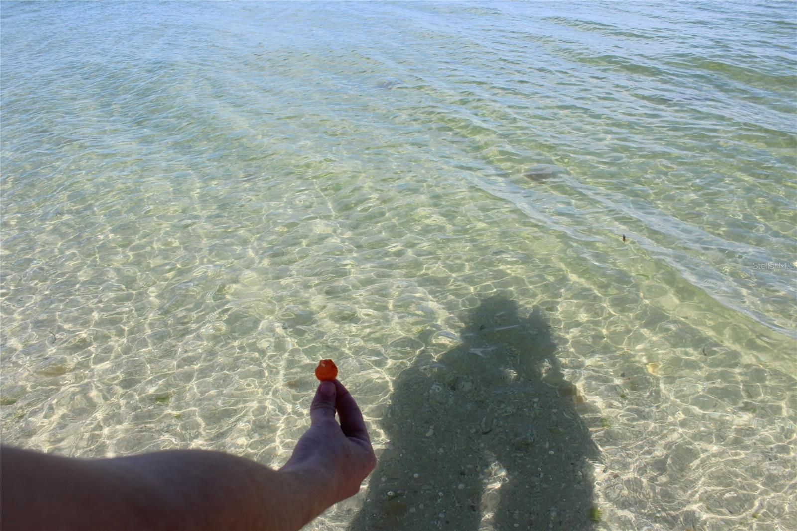 PALM ISLAND ESTATE - Land