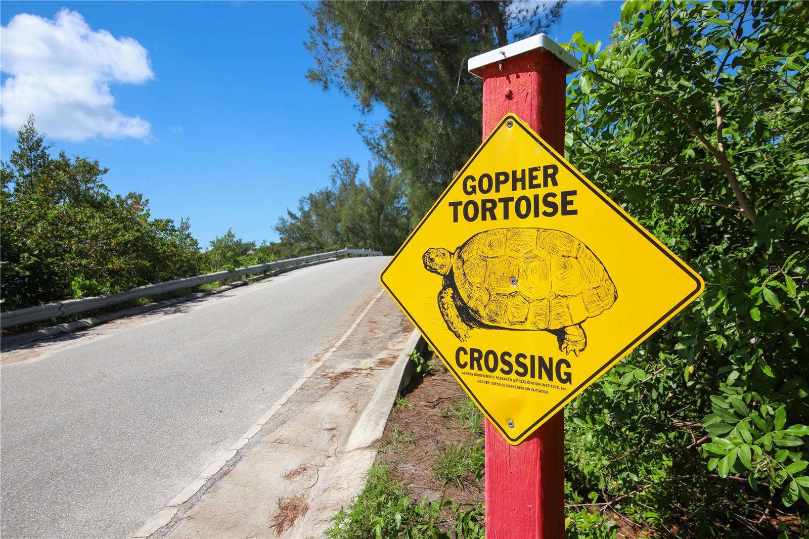 PALM ISLAND ESTATE - Land