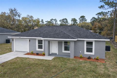 Photo of 2556 SW 141st Court, Ocala, FL 34481 (MLS # OM723547)