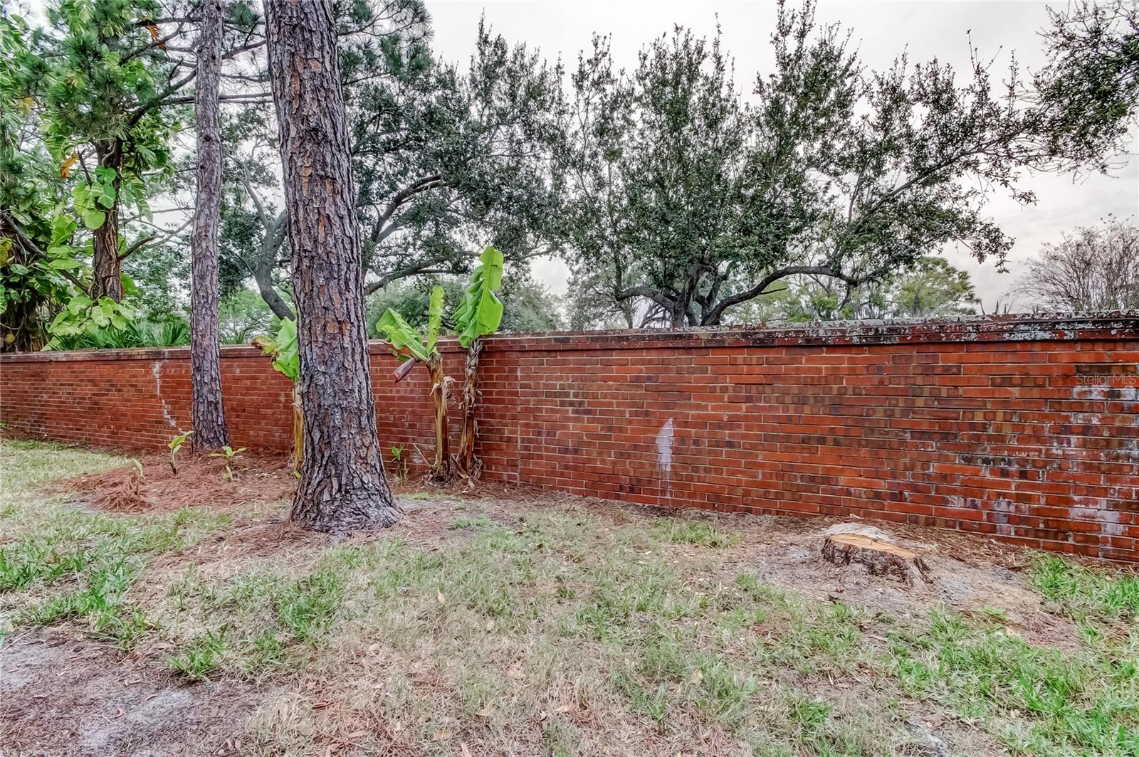 BERKELEY SQUARE - Residential