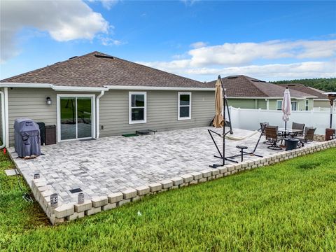 A home in MOUNT DORA