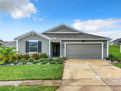 A home in MOUNT DORA