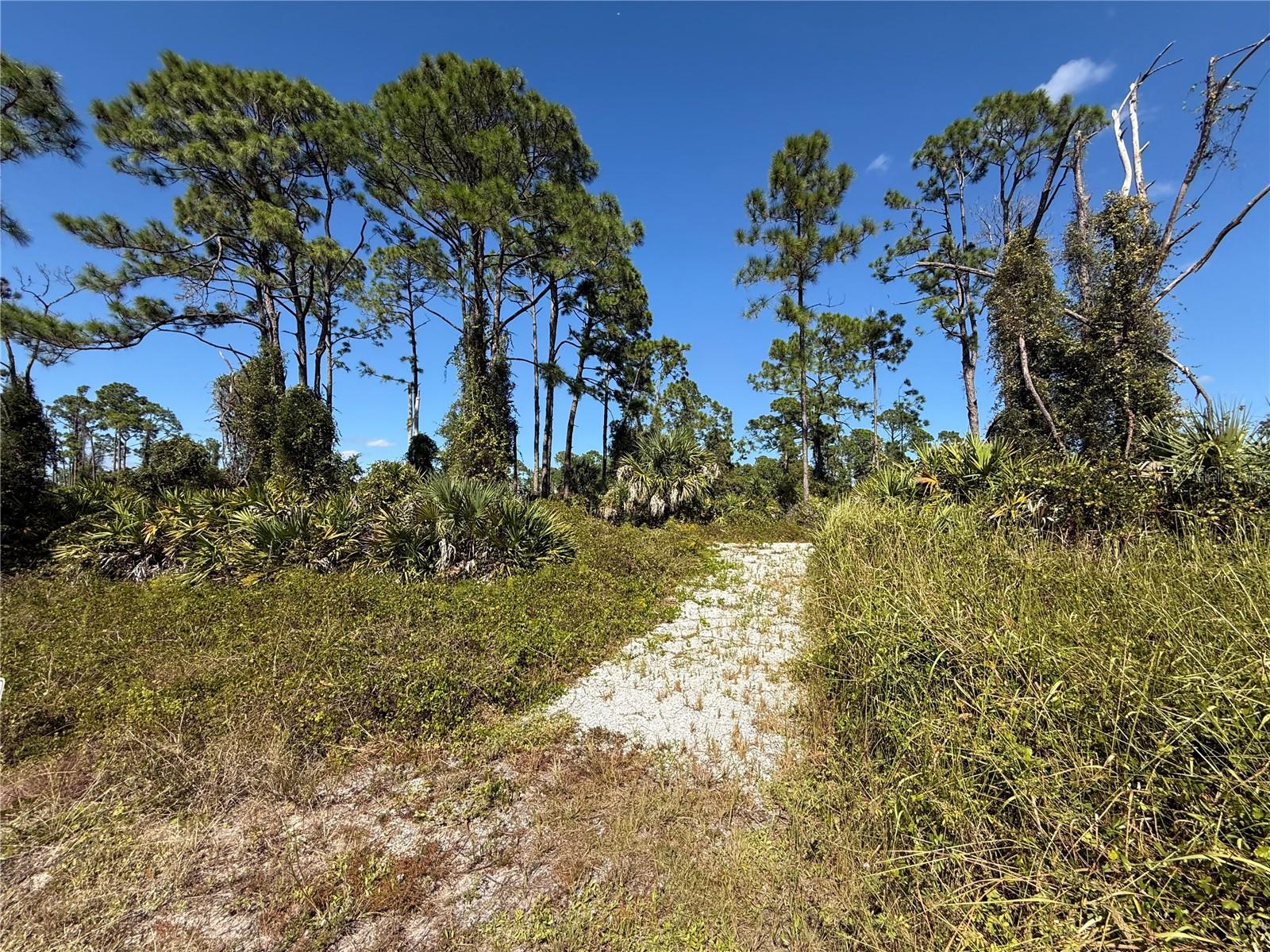 PORT CHARLOTTE SUB 33 - Land