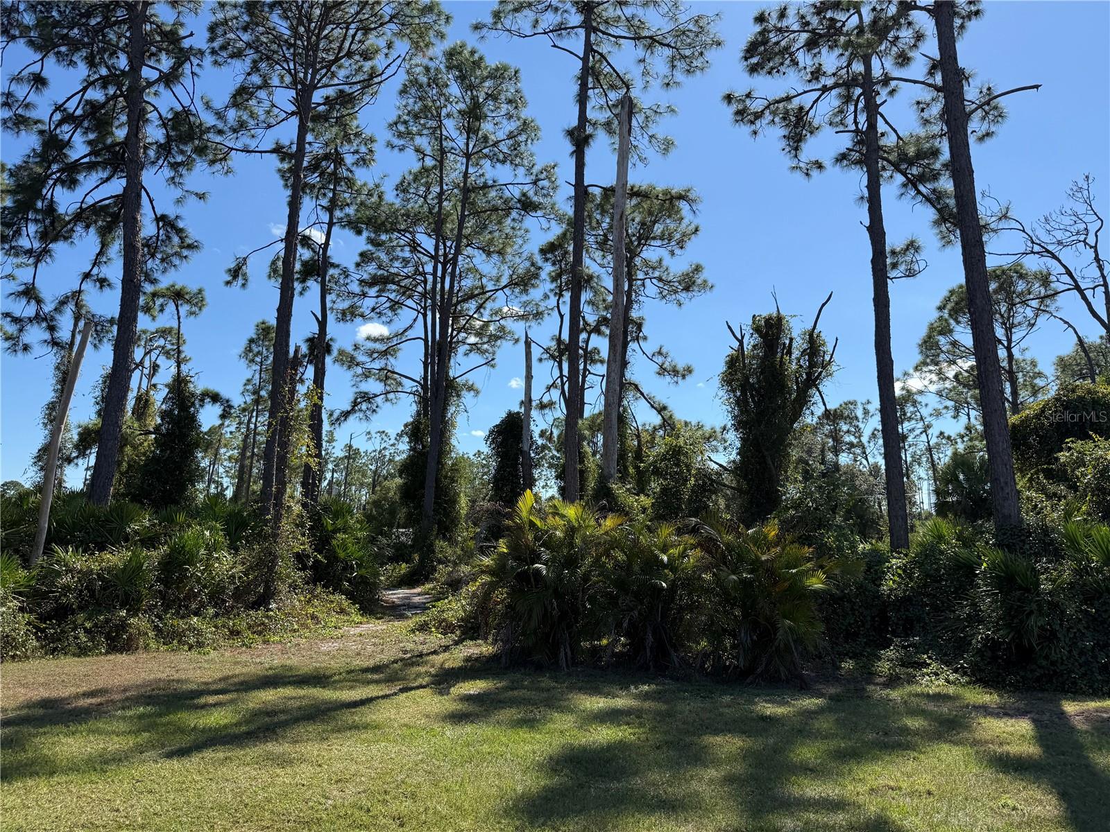 PORT CHARLOTTE SUB 33 - Land