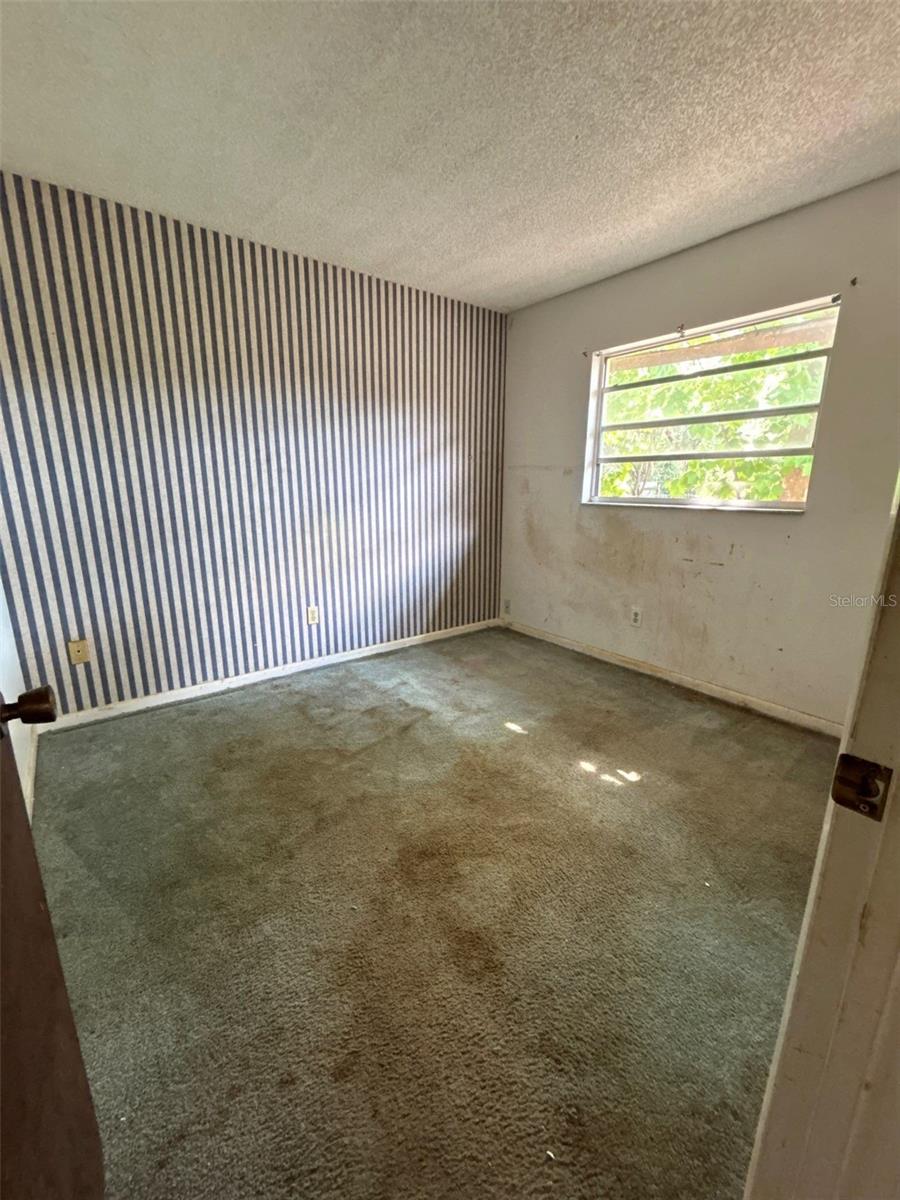 LONGWOOD PINE - Residential