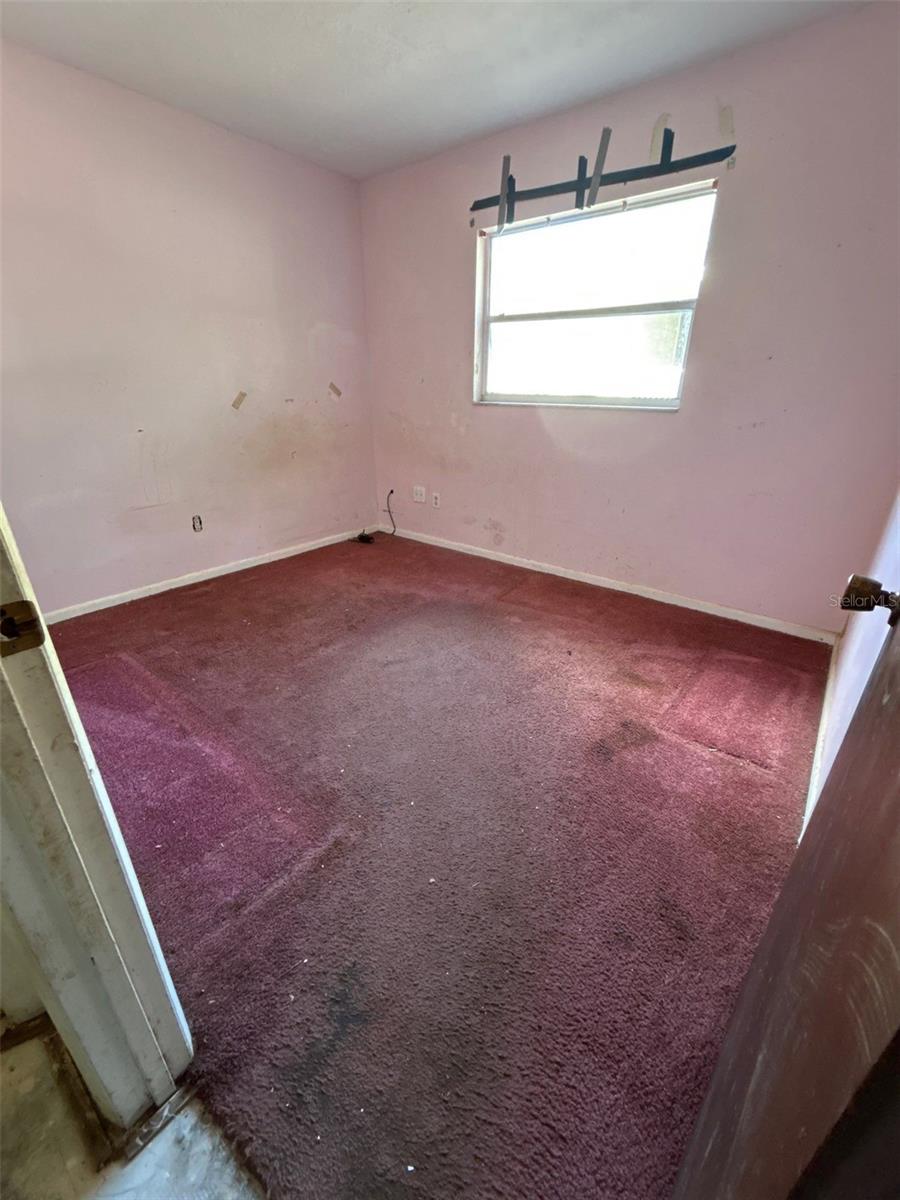 LONGWOOD PINE - Residential
