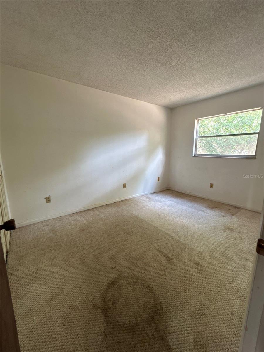 LONGWOOD PINE - Residential