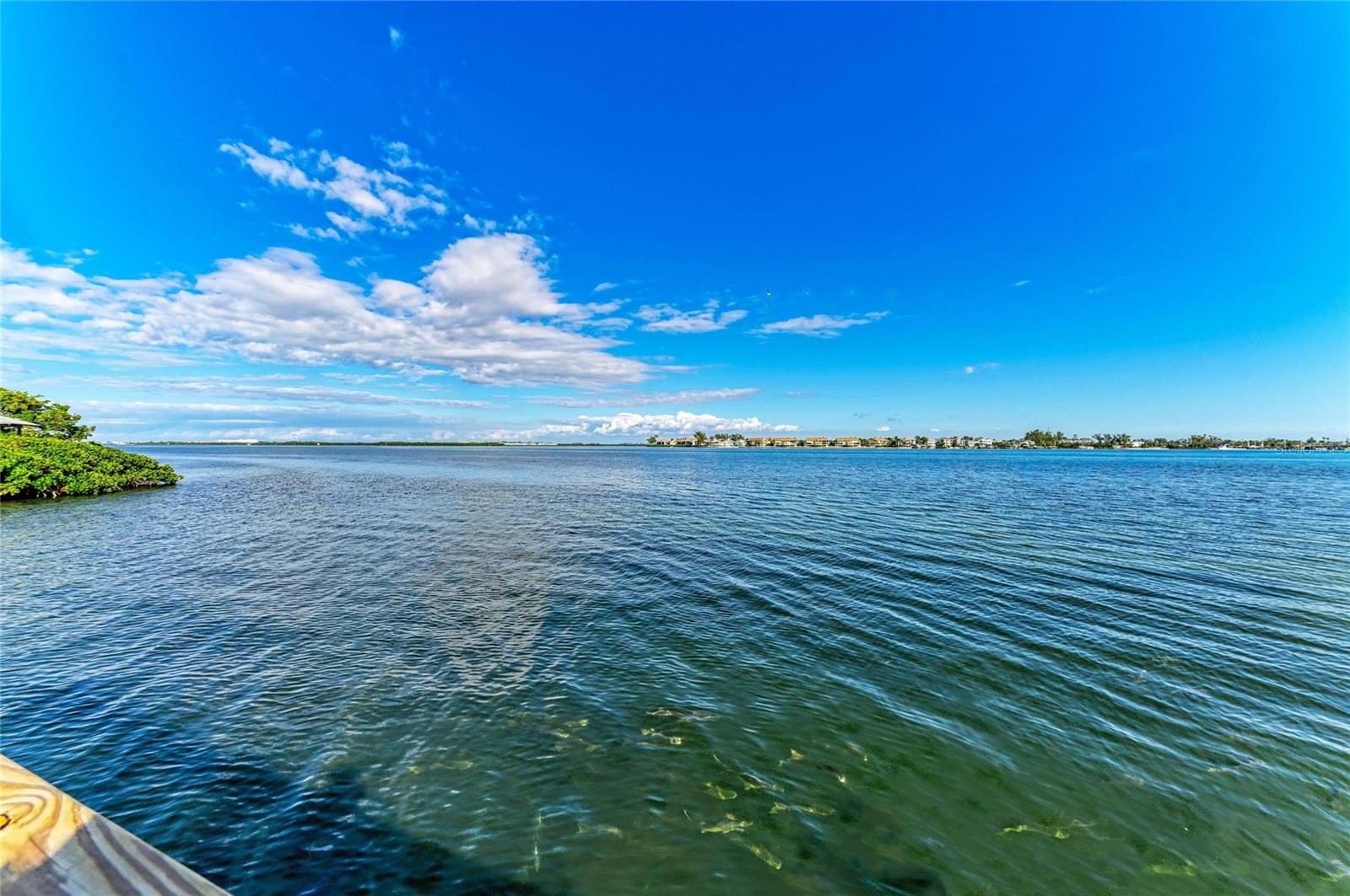 TRADEWINDS - Residential