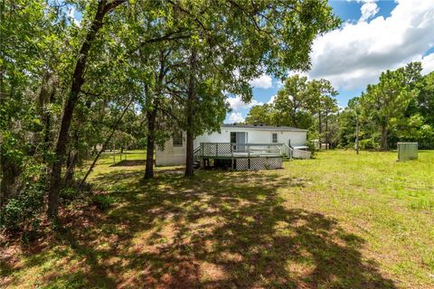 A home in HOMOSASSA