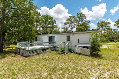 A home in HOMOSASSA