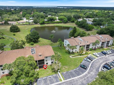 A home in PALM HARBOR