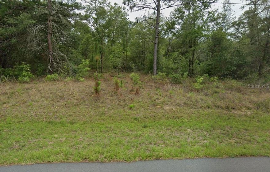 Come build your dream home in the growing community of Citrus Springs, Florida! This 0.23-acre homesite offers the perfect opportunity to create the space and lifestyle you’ve been envisioning—without the restrictions of an HOA.

Located at 3054 W Hamlet Place, this property is surrounded by established homes, giving you the confidence of a neighborhood that’s already taking shape while still offering room to grow. You have flexibility to design a home that fits your needs—whether that’s extra outdoor living space, room for your toys, or simply more privacy.

And let’s talk about location—this is where this property really shines. Citrus Springs offers a peaceful, residential feel while still being close to everything you need. You’re just minutes from golf courses, parks, and the scenic Withlacoochee State Trail, perfect for biking, walking, and enjoying the outdoors.

Love the water? You’re a short drive to some of Florida’s most beautiful natural springs, including Rainbow Springs State Park, where you can kayak, swim, and take in the crystal-clear water. Plus, nearby towns like Dunnellon, Florida and Crystal River, Florida offer charming local dining, shopping, and waterfront activities—including boating and manatee encounters.

Whether you’re looking to build now or invest for the future, this location offers that perfect blend of quiet living and access to Florida’s outdoor lifestyle.

Bring your builder, bring your vision—and start creating your future here!