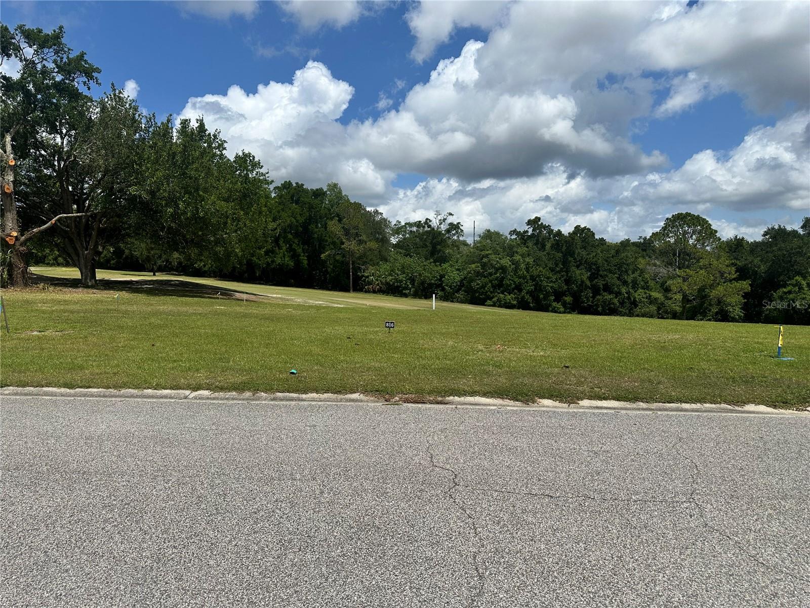 ZELLWOOD STATION COOP MH PARK - Land