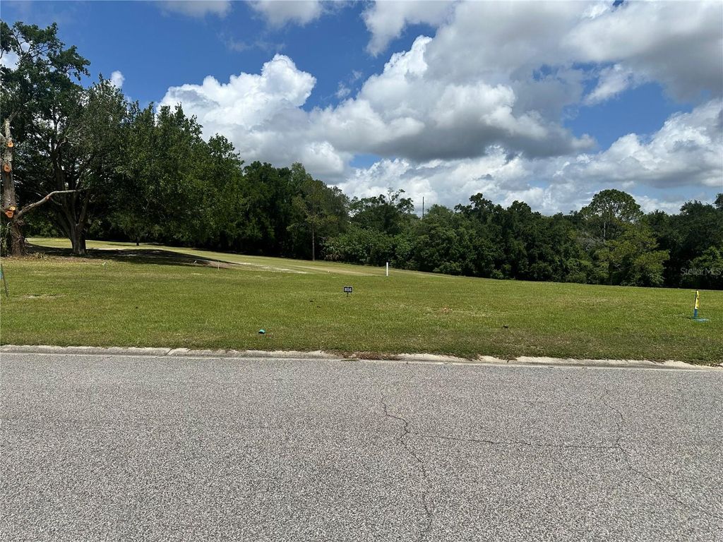 Photo of 3951 Greenbluff Road #816, Zellwood, FL 32798 (MLS # O6404233)