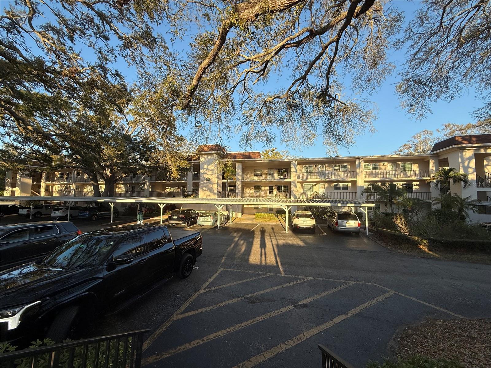 PATRICIAN OAKS - Residential