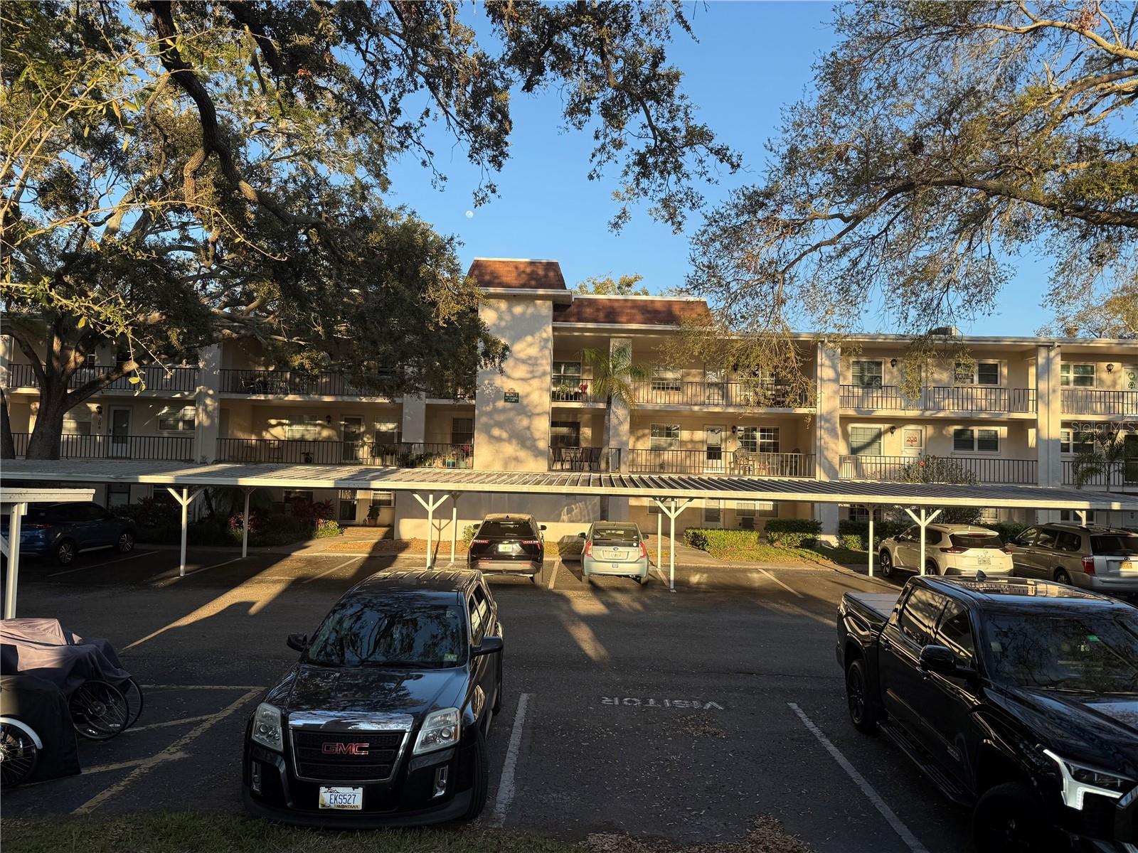 PATRICIAN OAKS - Residential