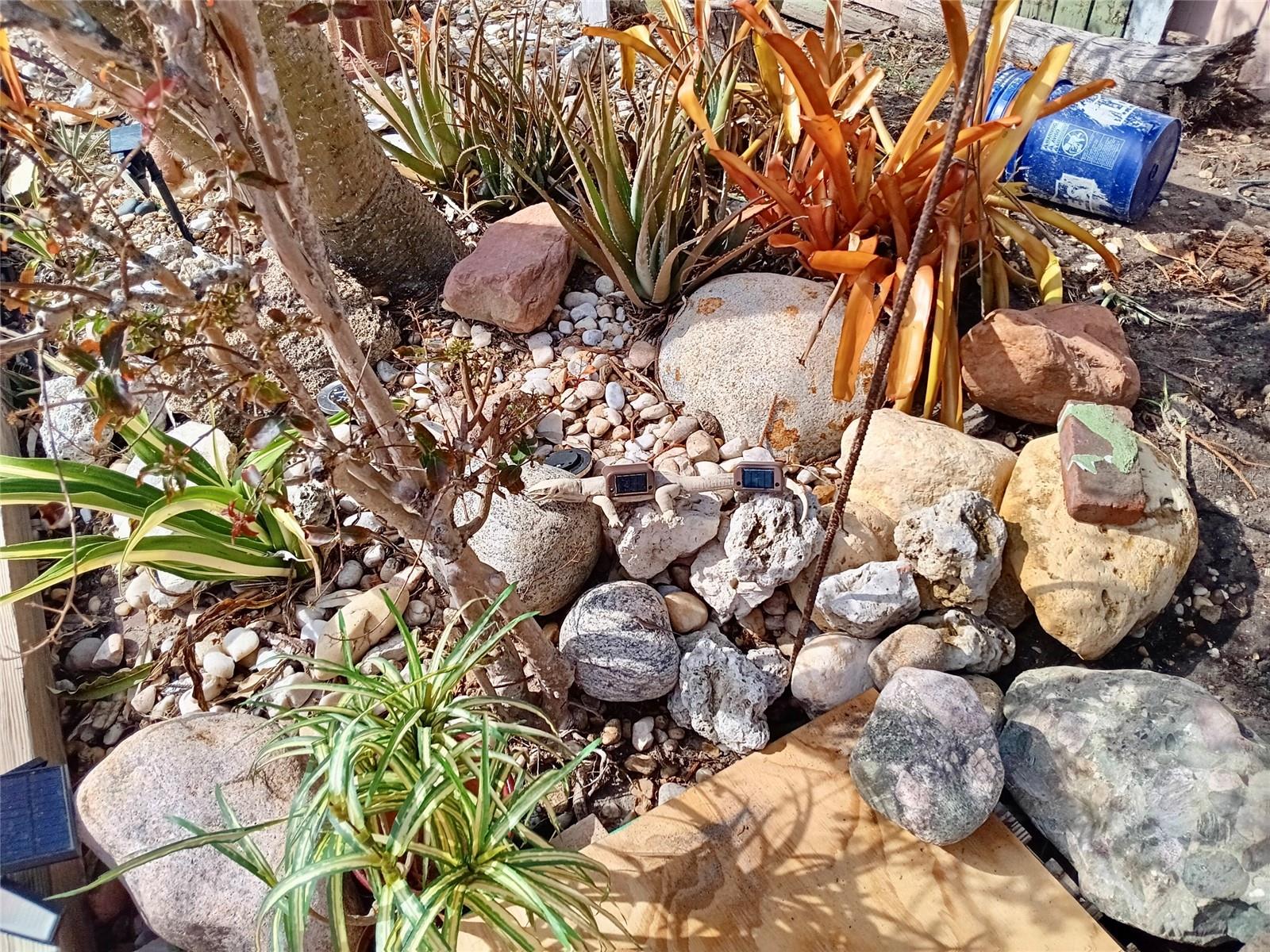 LAKE RIDGE - Residential