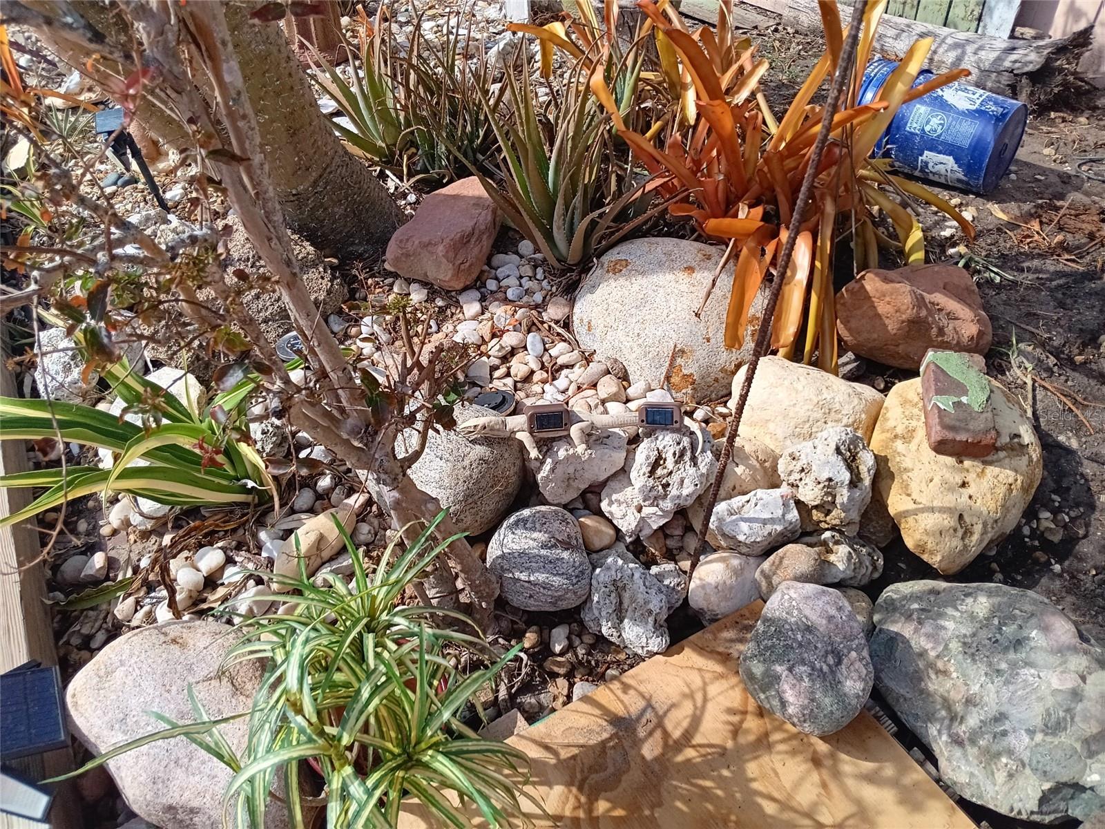 LAKE RIDGE - Residential