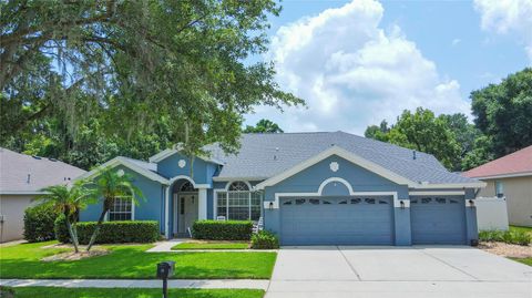 A home in VALRICO