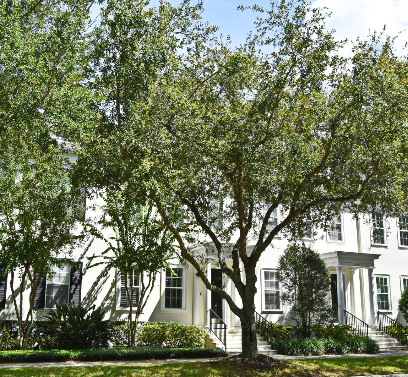 SPRING PARK TOWNHOMES OF SOUTH VILLAGE - Residential