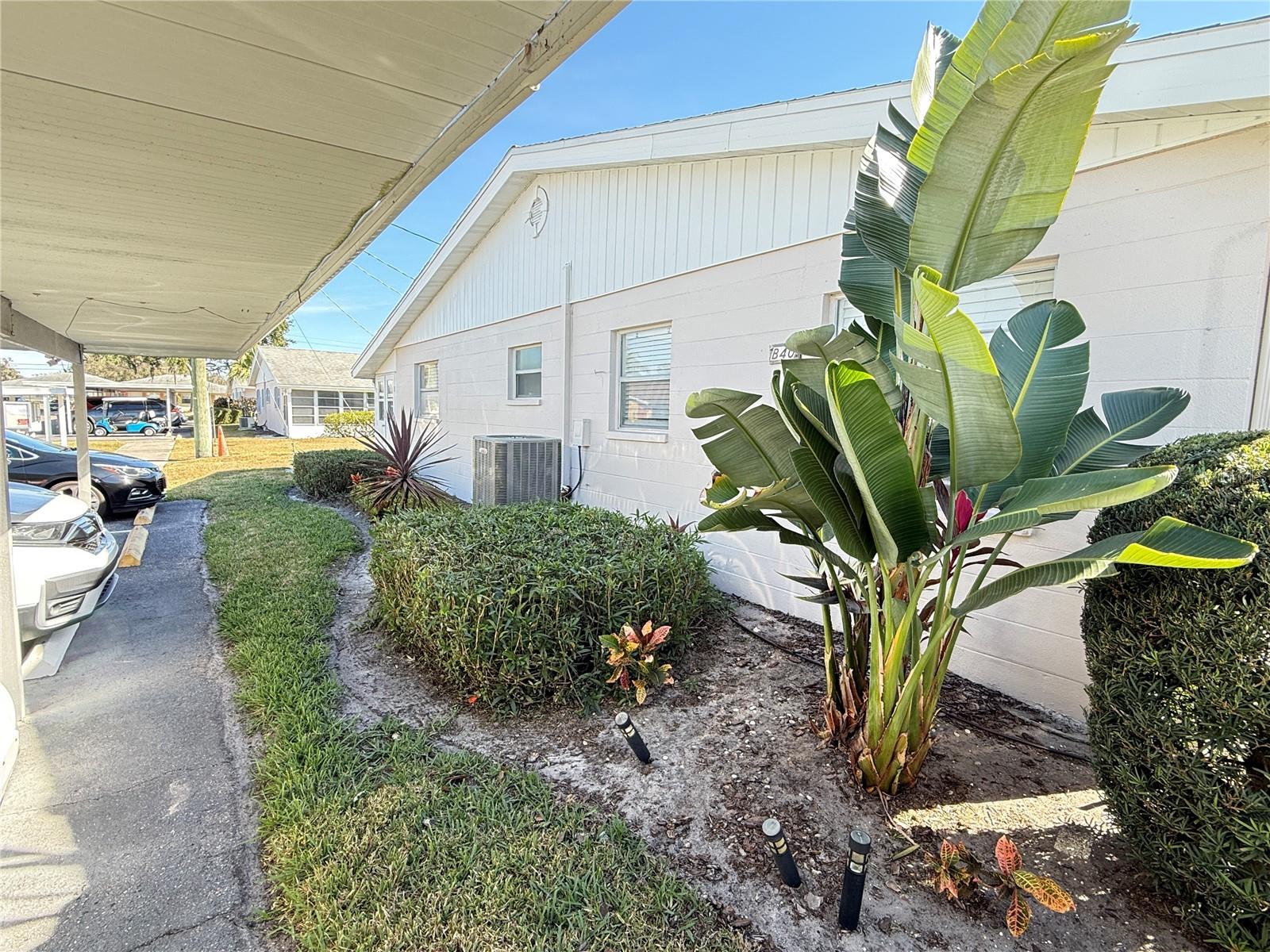 DORCHESTER B CONDO - Residential