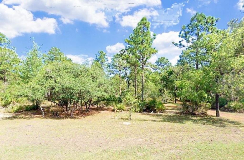 Photo of 5719 W Stockholm Lane, Dunnellon, FL 34433 (MLS # R4911170)
