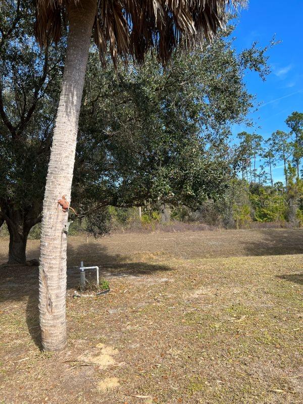 PORT CHARLOTTE SUB 45 - Residential