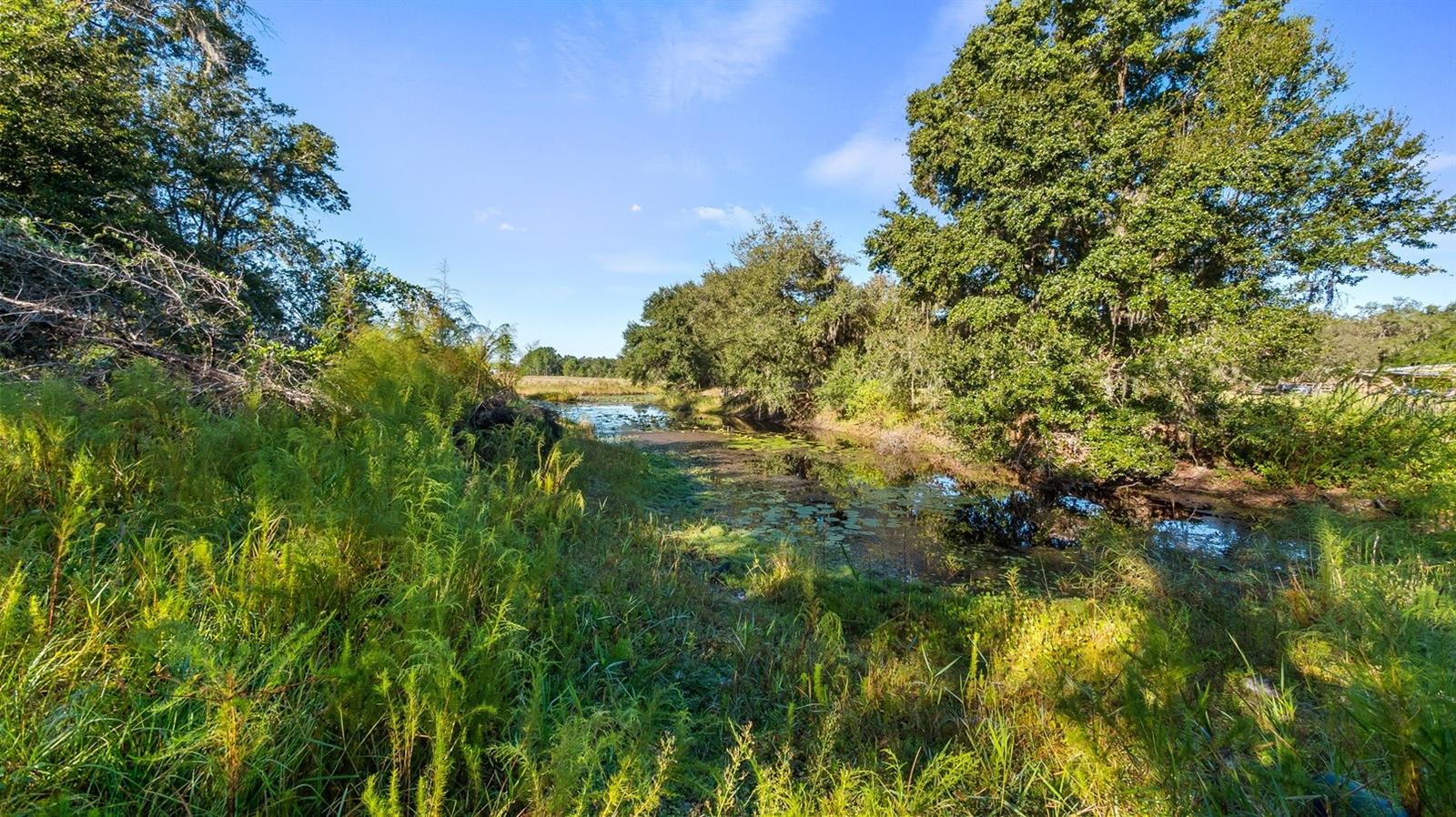 MOBILE HOME NOT IN PARK-0230 - Residential