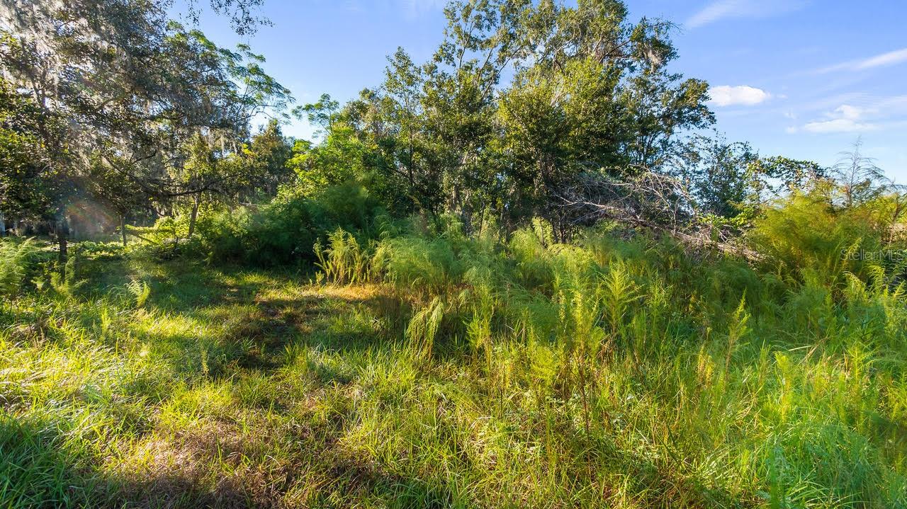 MOBILE HOME NOT IN PARK-0230 - Residential