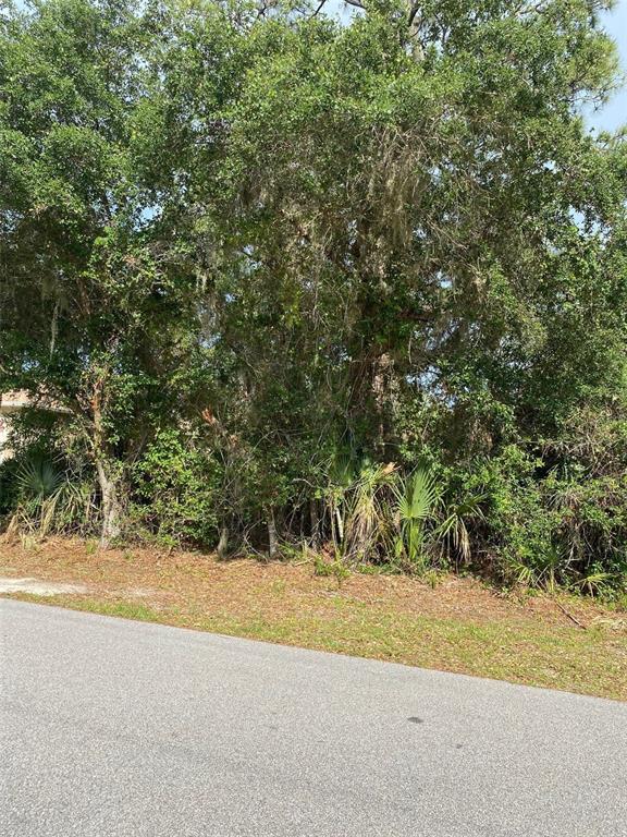 PORT CHARLOTTE SUB 07 - Land