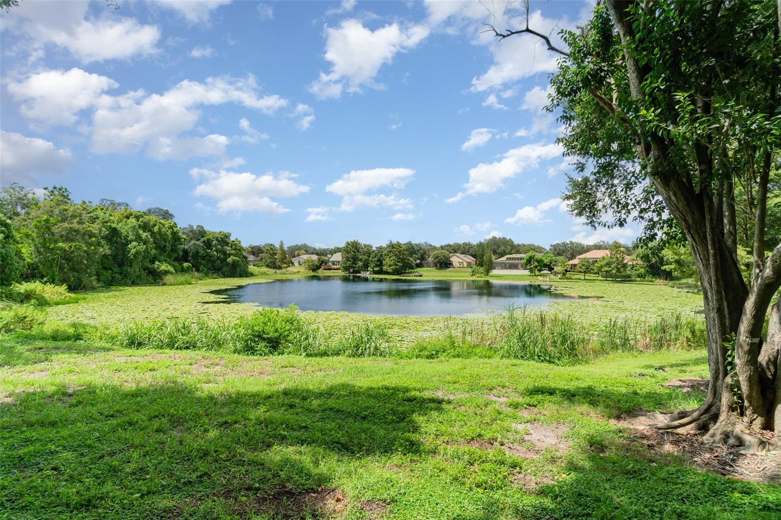 ENCLAVE/MAITLAND A-F - Residential