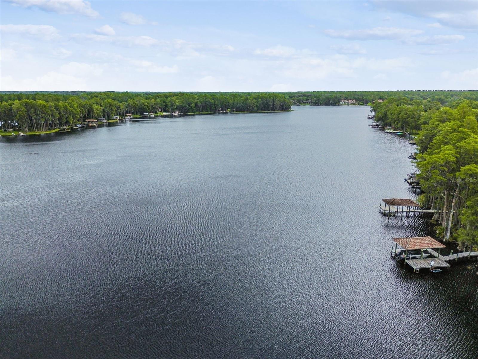 DOLCE VITA - Residential