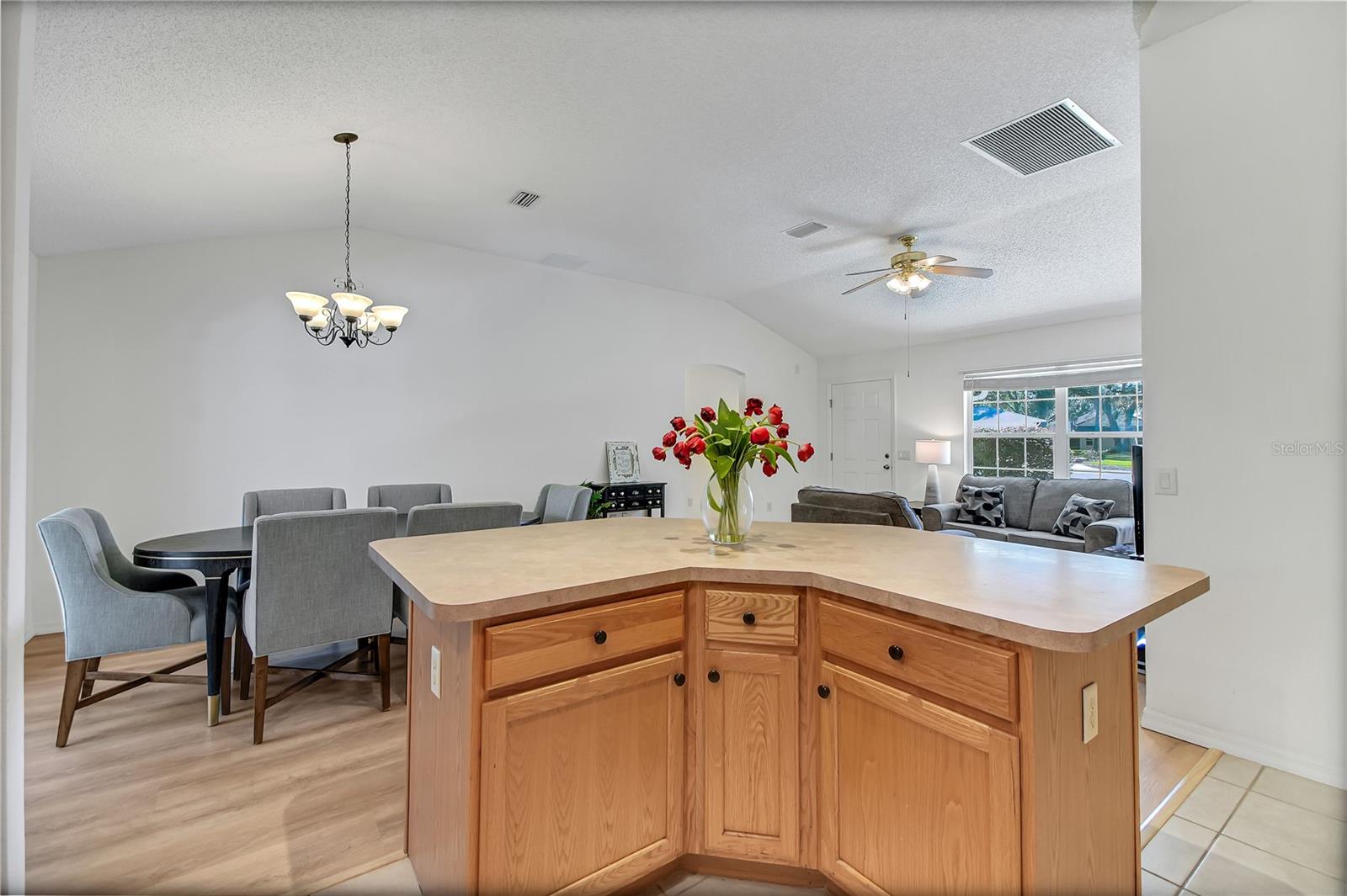 SPRING ARBOR VILLAGE - Residential