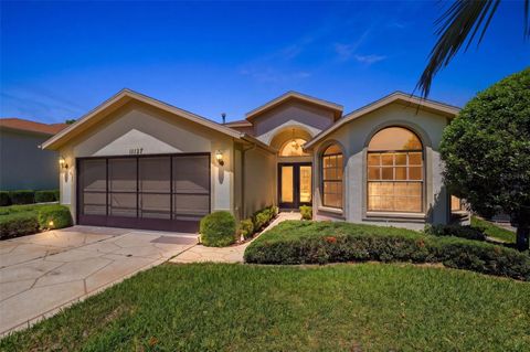 Photo of 11127 Cherrywood Court, Spring Hill, FL 34609 (MLS # W7885001)