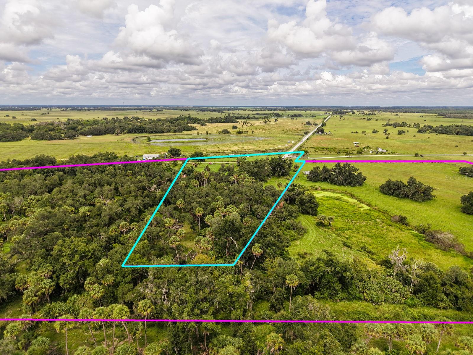 16445 COKER GULLY ROAD, MYAKKA CITY, FL, 34251 4 16445 COKER GULLY ROAD