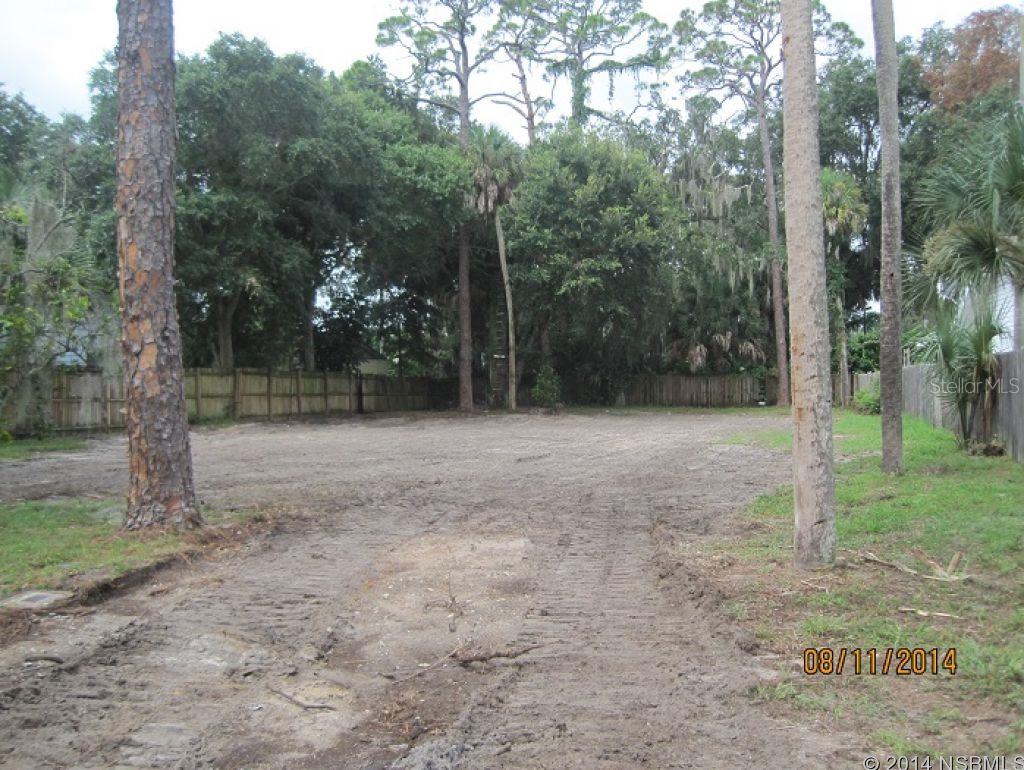 Riverside Park New Smyrna - Land