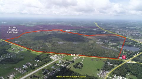19858 STATE ROAD 52 LAND O LAKES FL 34637