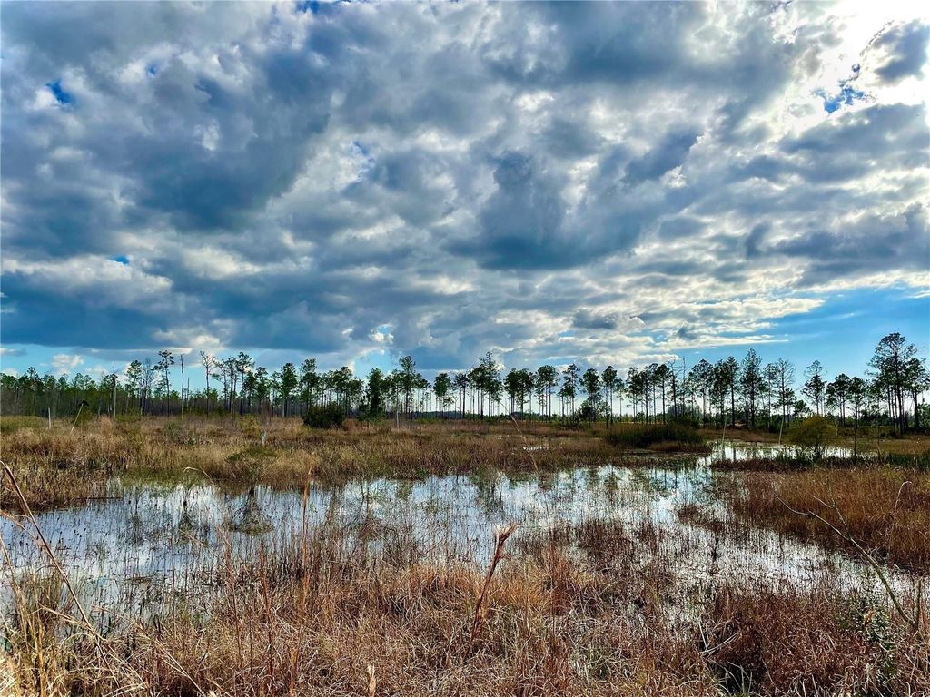 Photo of 19858 State Road 52, Land O Lakes, FL 34637 (MLS # T3433644)