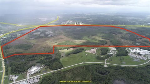 19858 STATE ROAD 52 LAND O LAKES FL 34637