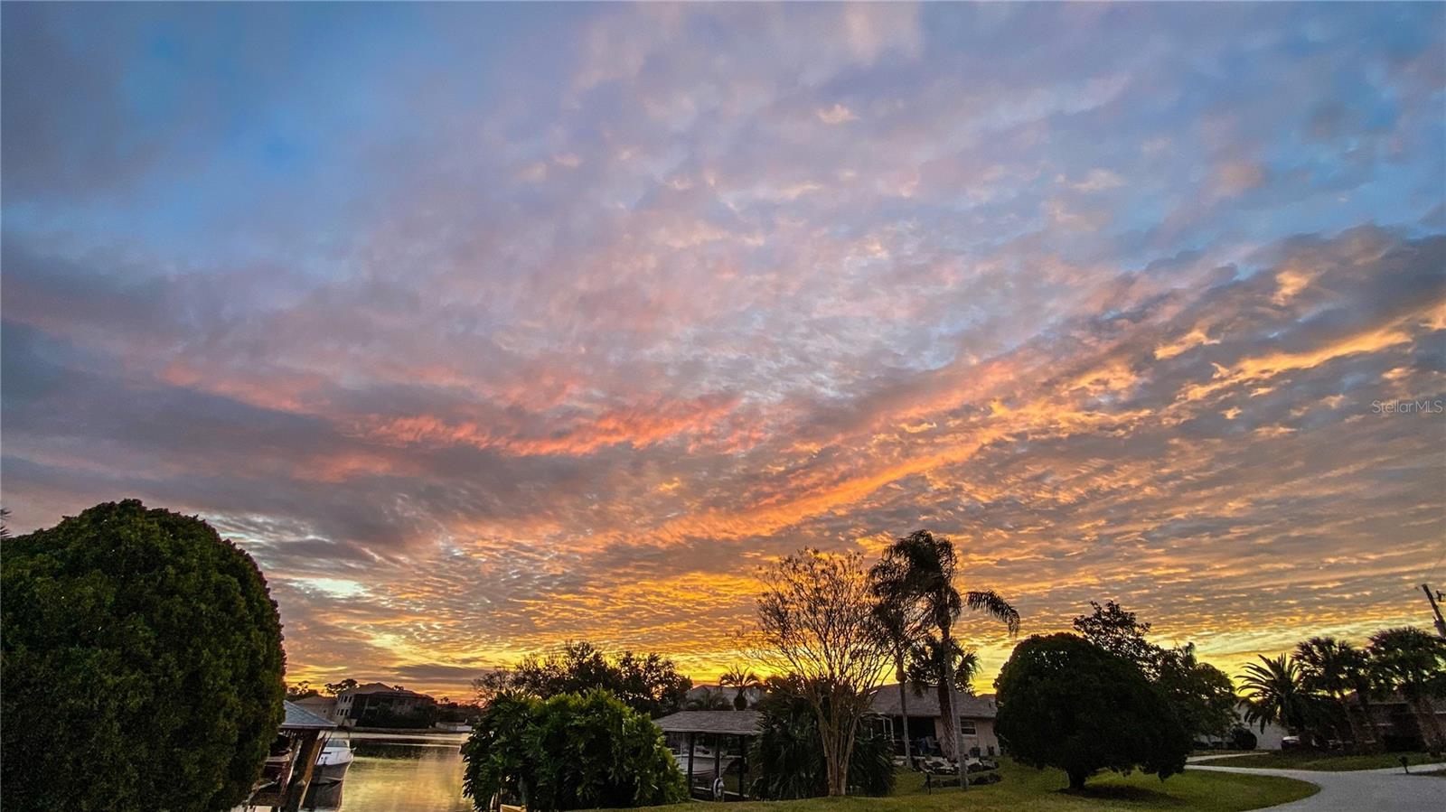 PALM HARBOR - Residential