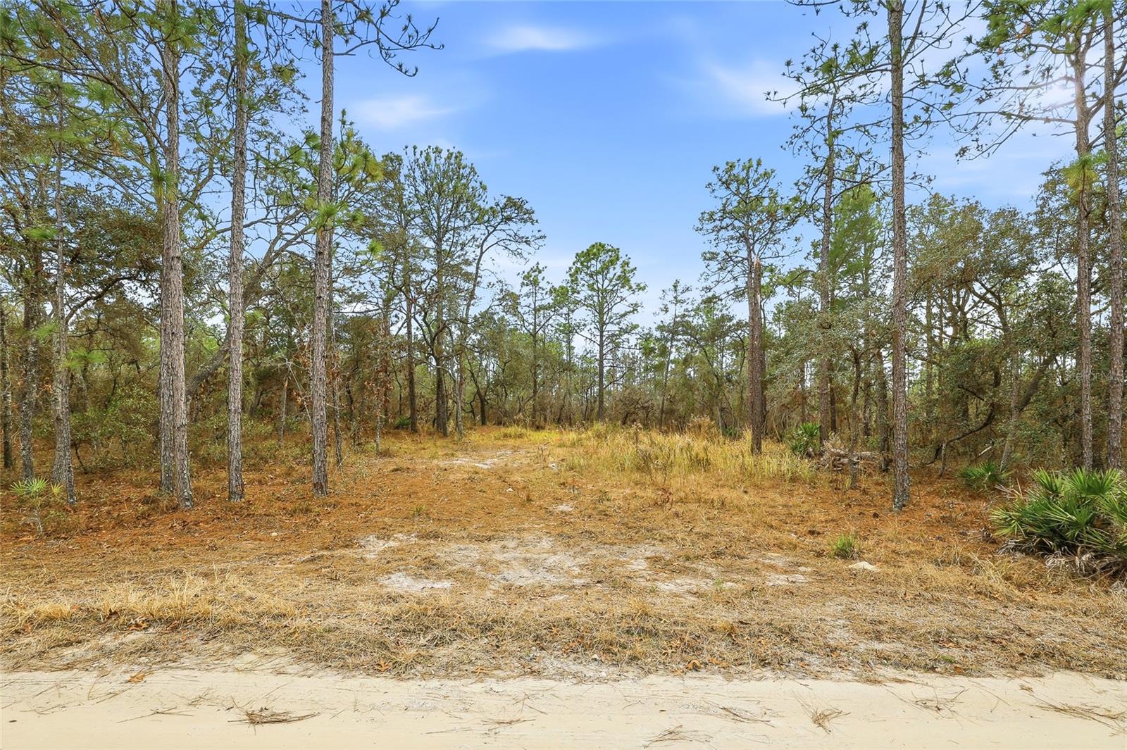 LONDON TERRACE - Land